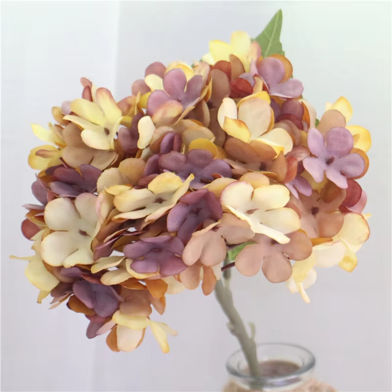 hydrangea_flatlay