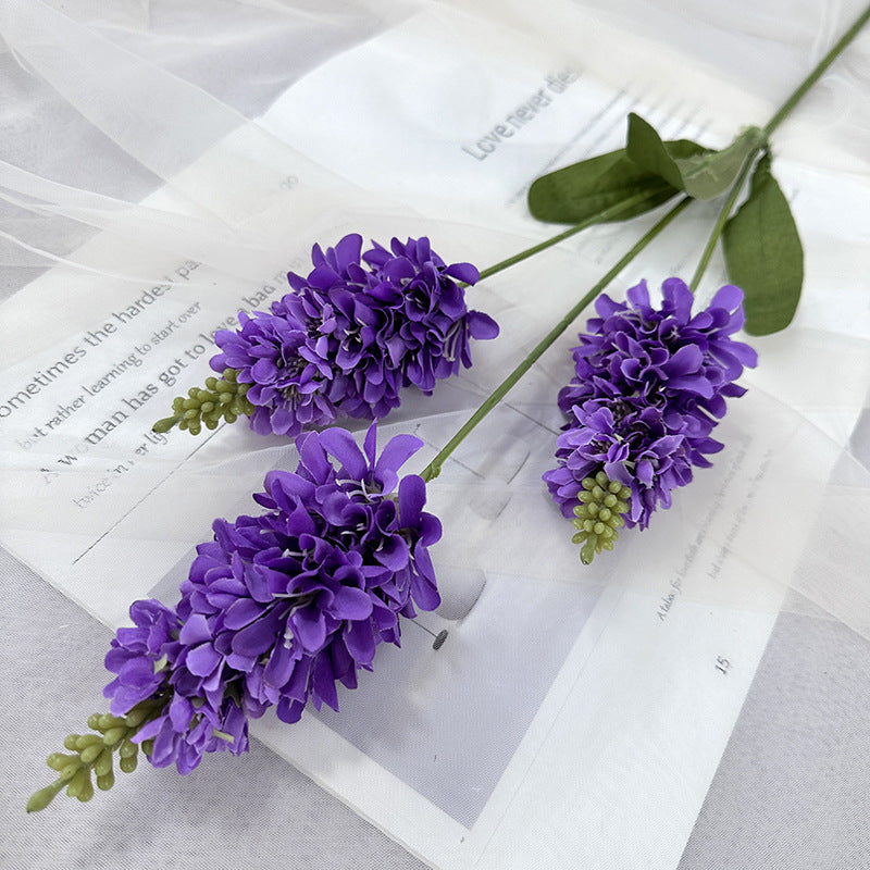 unopened_bud_delphinium_tip_macro_shot