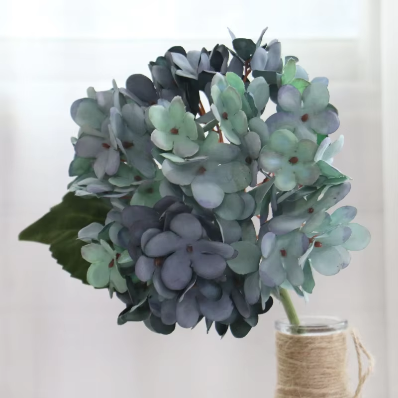 fresh_green_hydrangea_branch