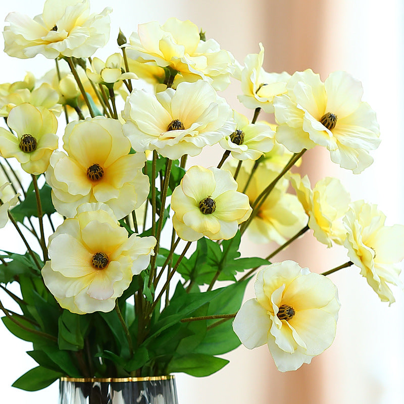 compact_iceland_poppy_small_bunch