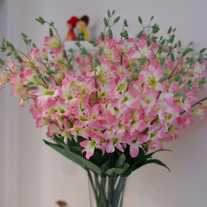 compact_mini_dendrobium_small_bunch