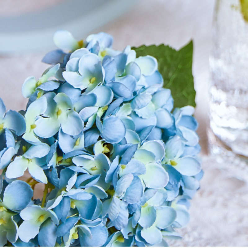 mauve_hydrangea_flower