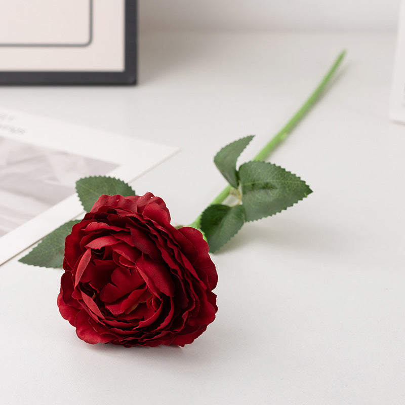 deep_burgundy_rose_bloom_shot