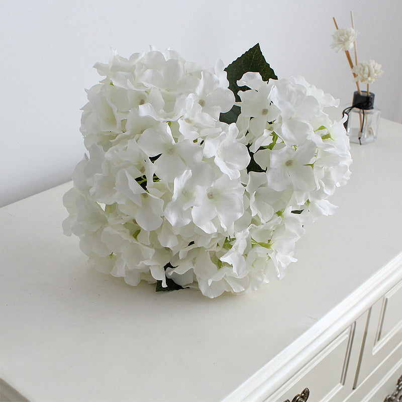 apple_green_hydrangea_bloom