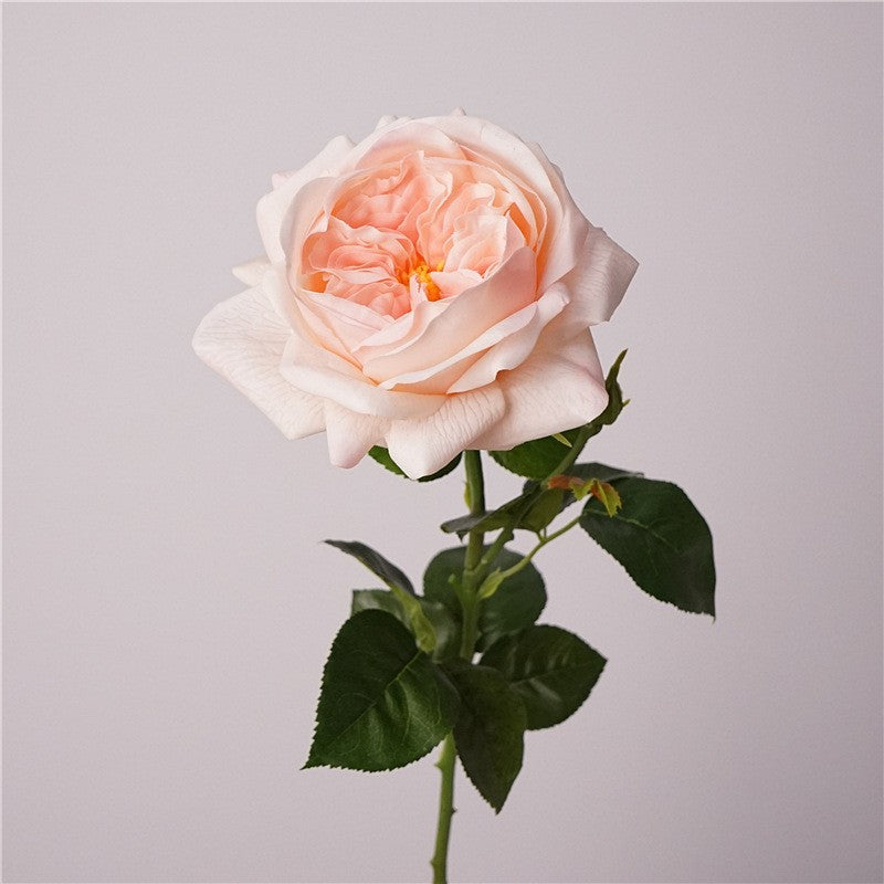 garden_rose_bouquet_lifestyle_shot