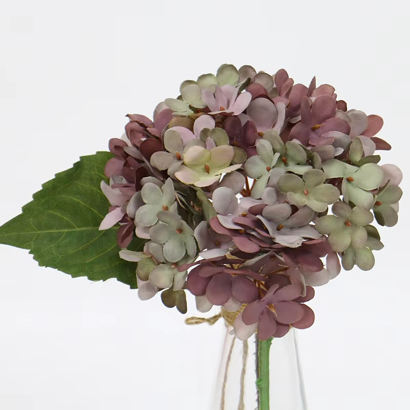 hydrangea_wood_backdrop