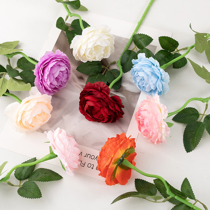 vibrant_rose_bloom_mixed_display