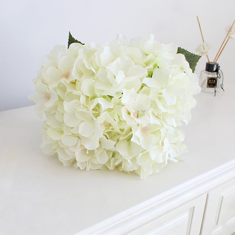 blush_pink_hydrangea