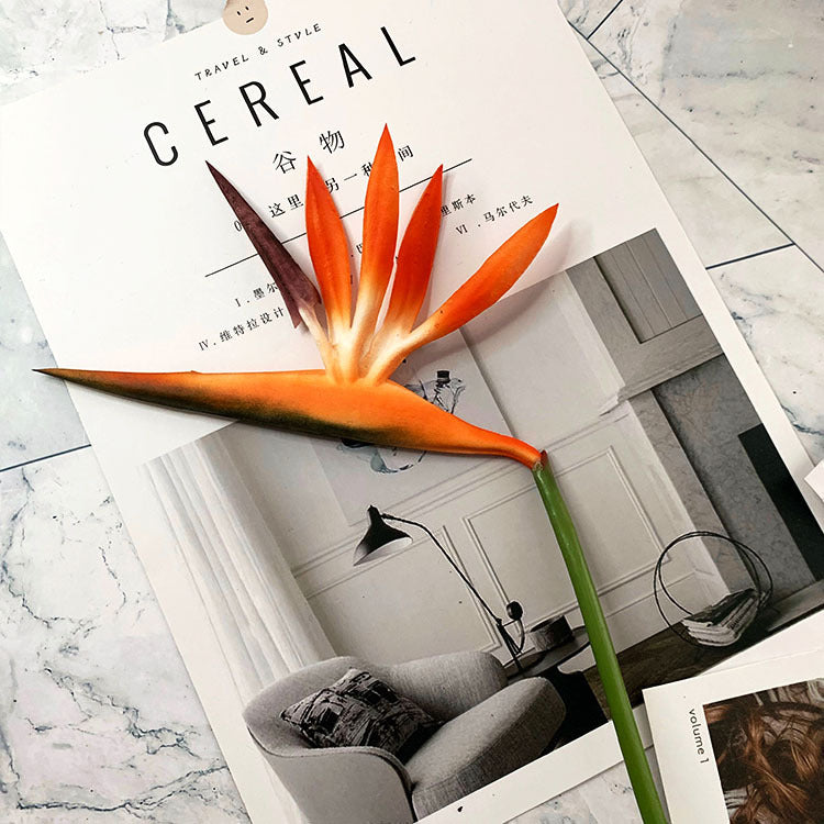 home_interior_vase_strelitzia_table_decor