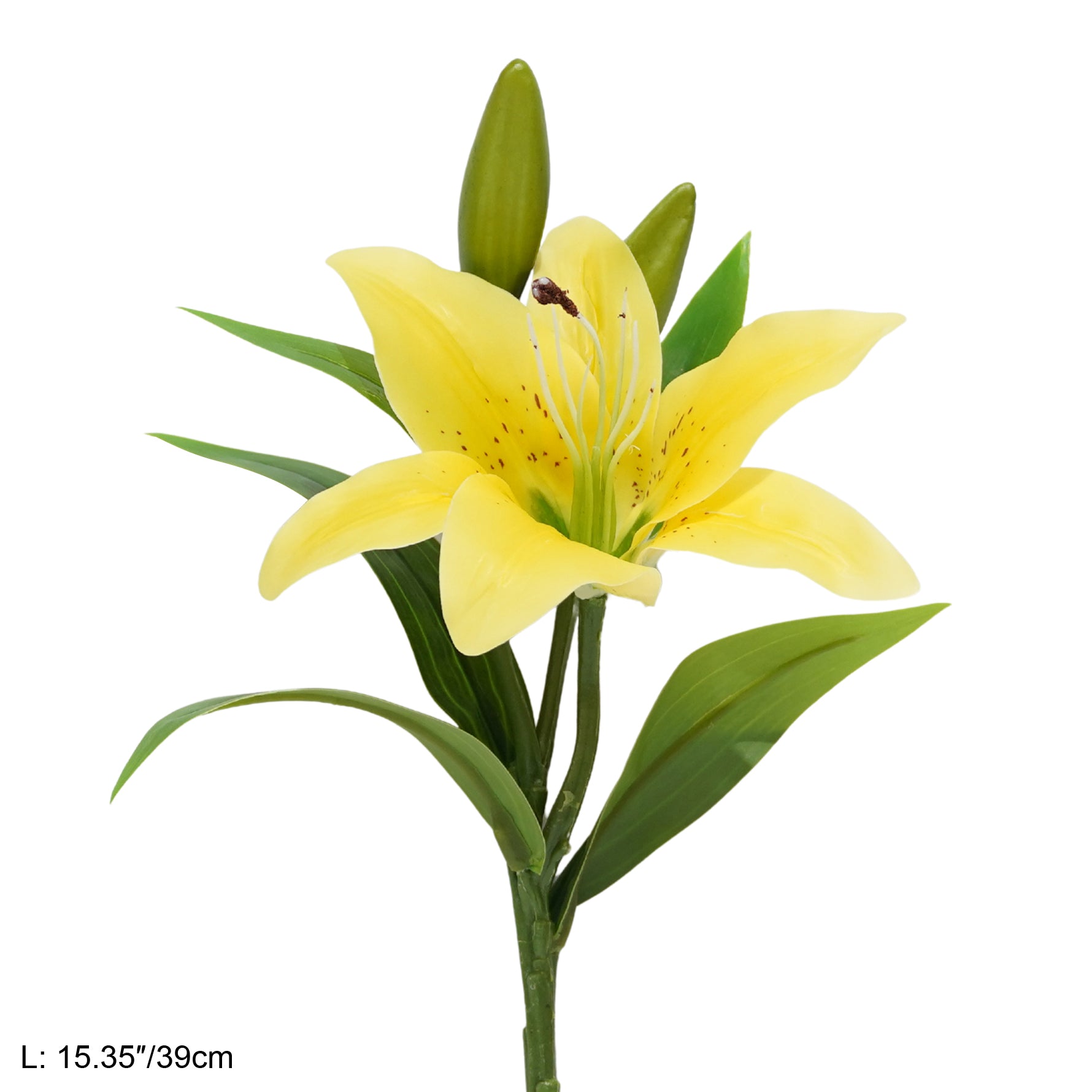 silk-lily-flower-head