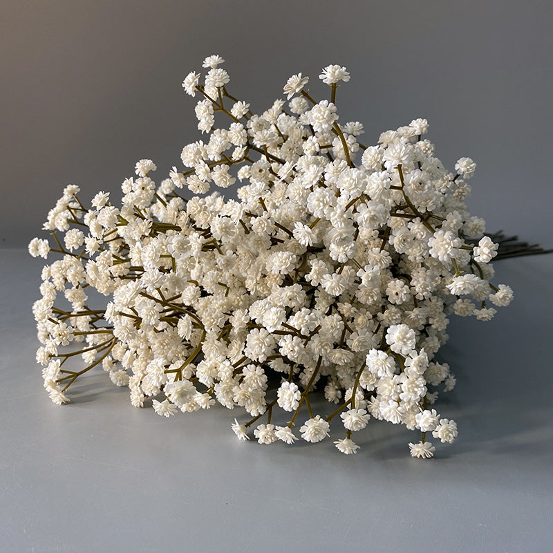 dried_baby_breath_cream_sprigs