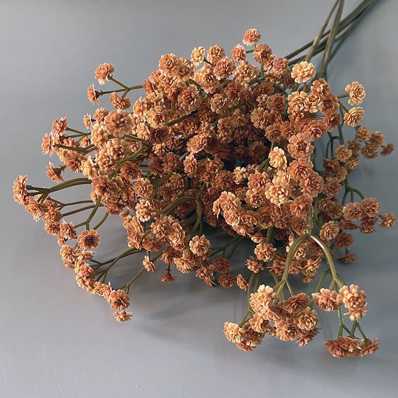 dried_gypsophila_white_stem