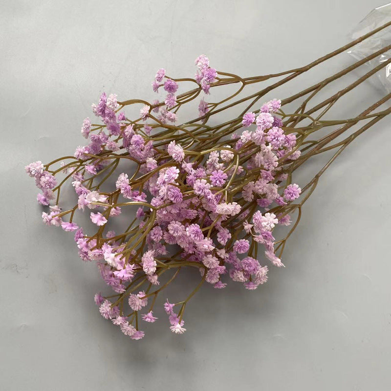 dried_gypsophila_apricot_bunch