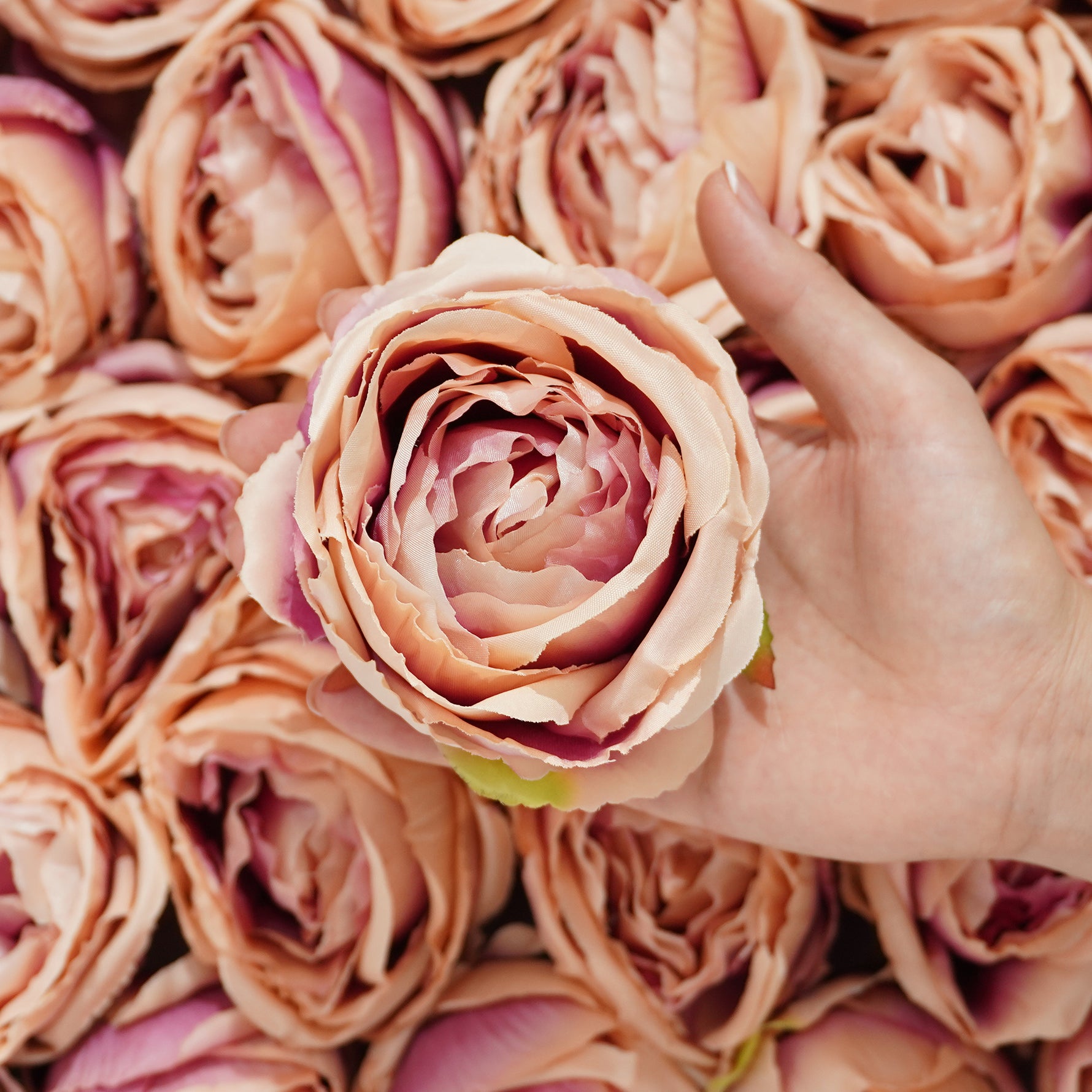 colorful artificial rose flower head