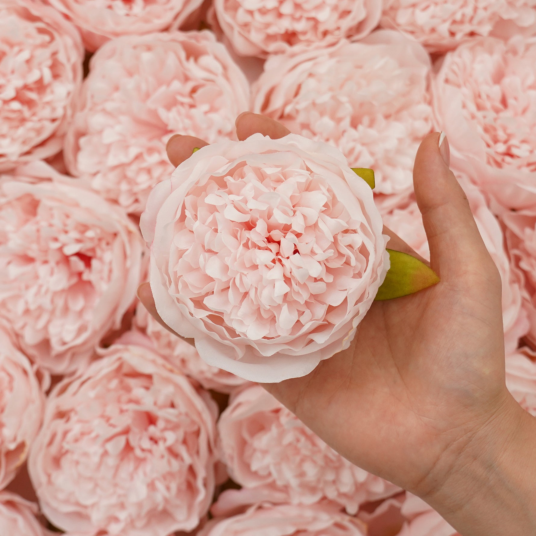 wedding-peony-floral