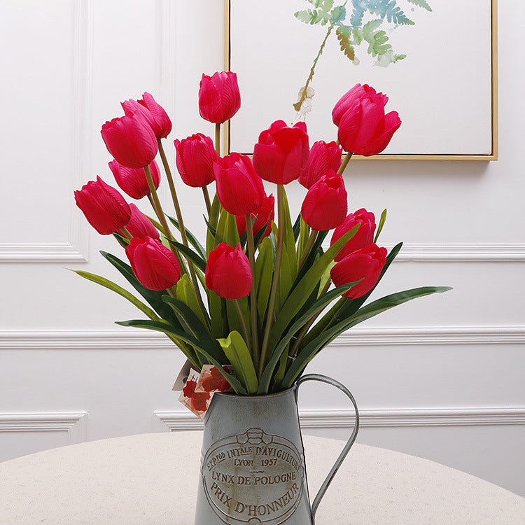 window_sill_tulip_sunlit_product_shot