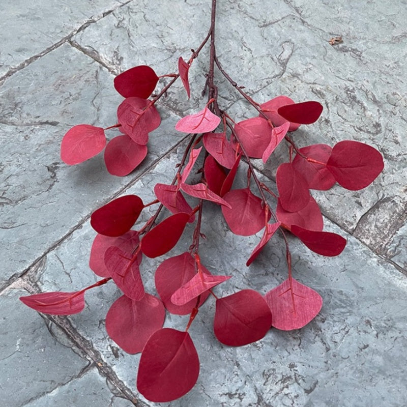 burgundy_eucalyptus_stem_