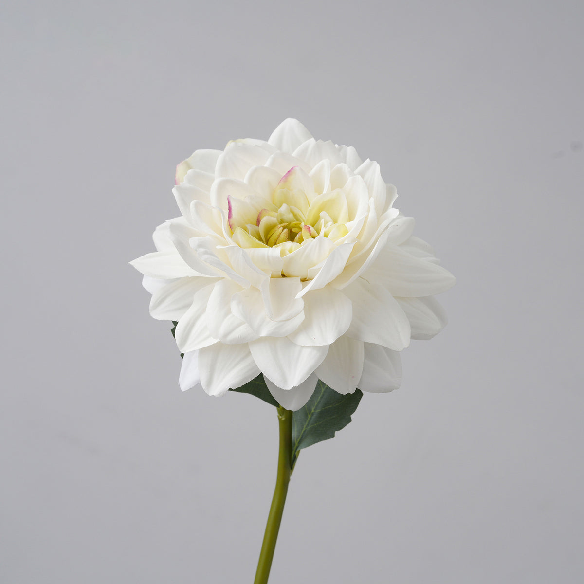 coral_artificial_dahlia_side_view