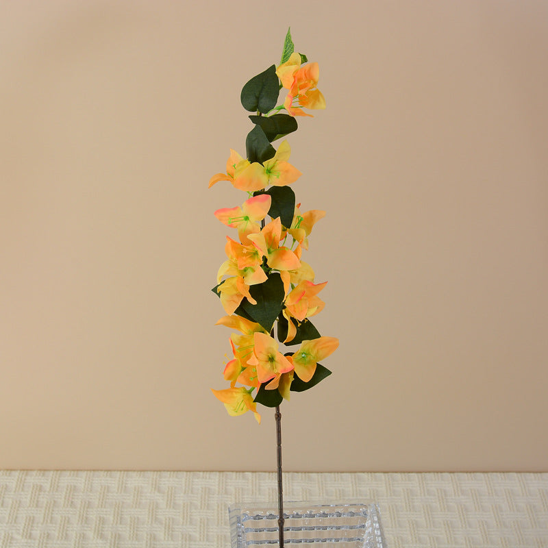 hot_pink_bougainvillea_sprig