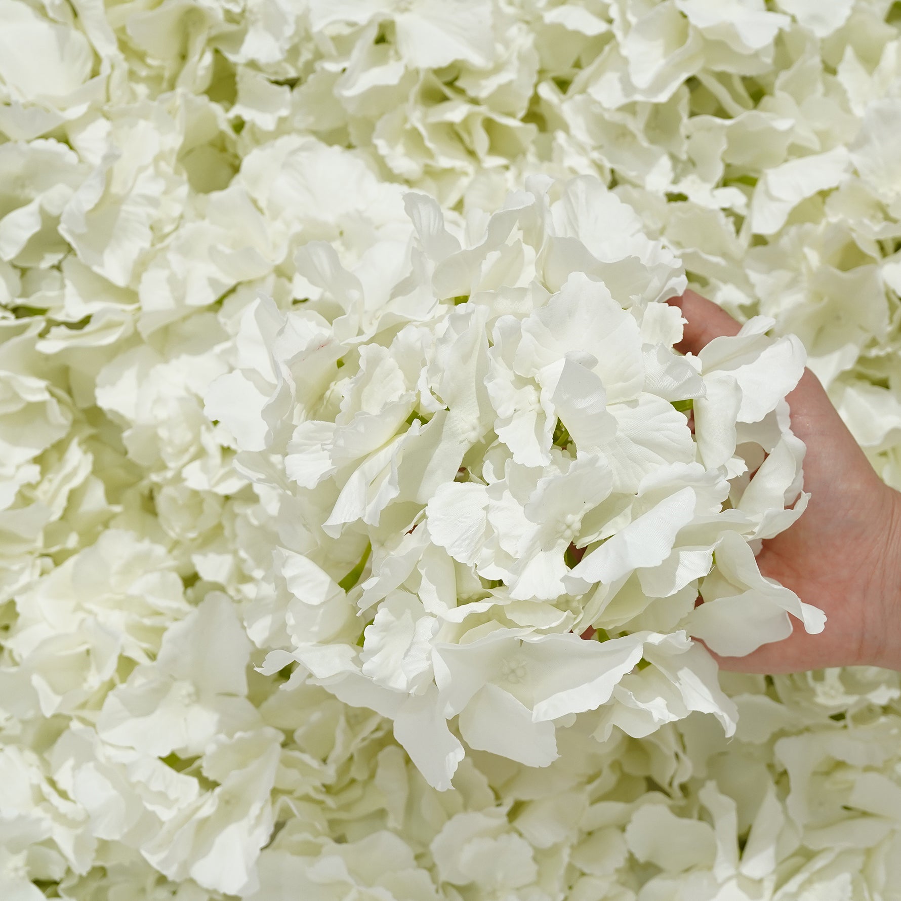 hydrangea-diy-floral-material