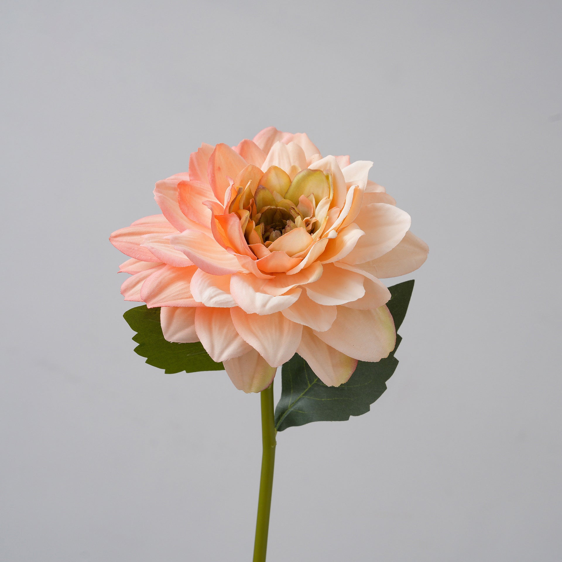 white_faux_dahlia_held_in_hand
