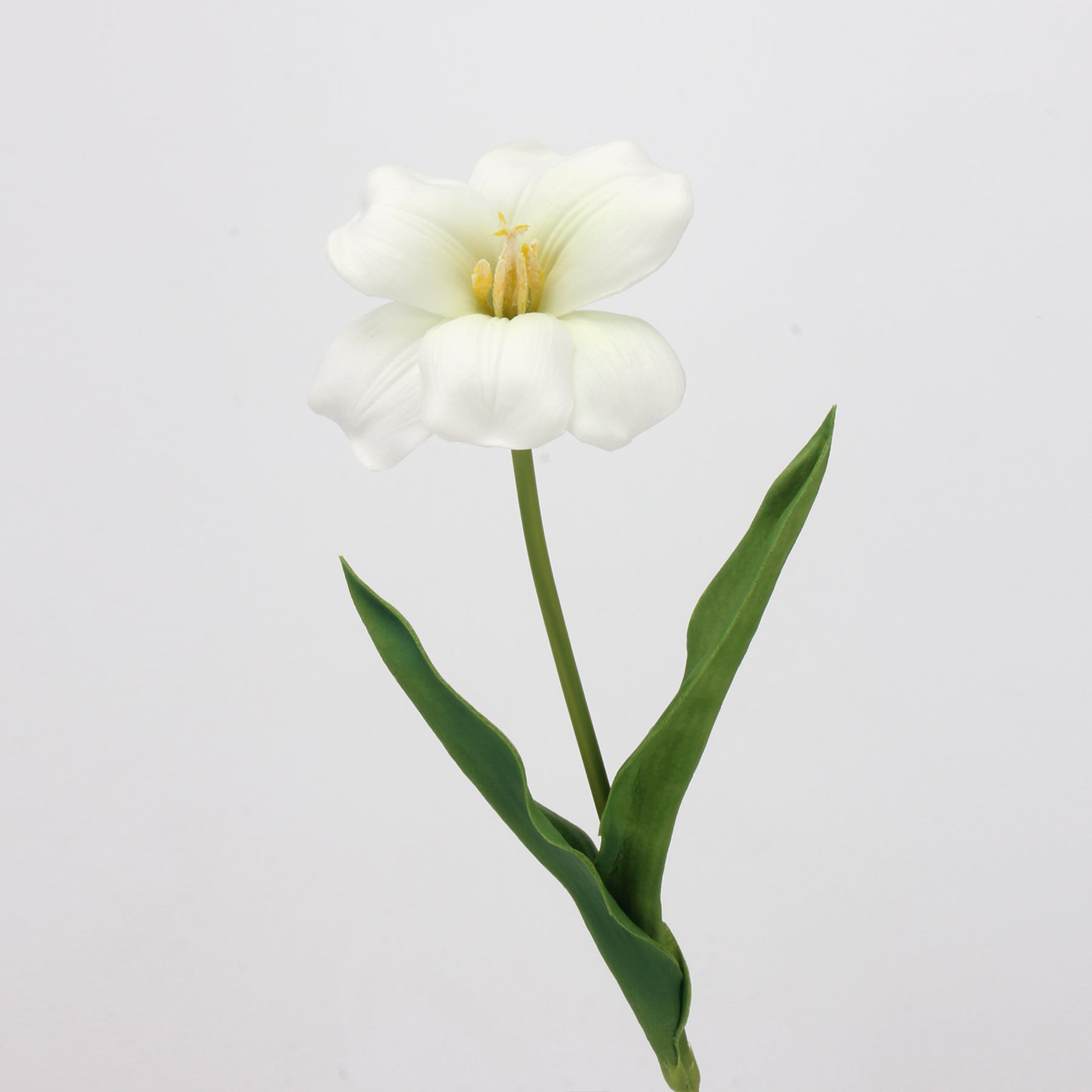 peach_clematis_solo_bloom_stem