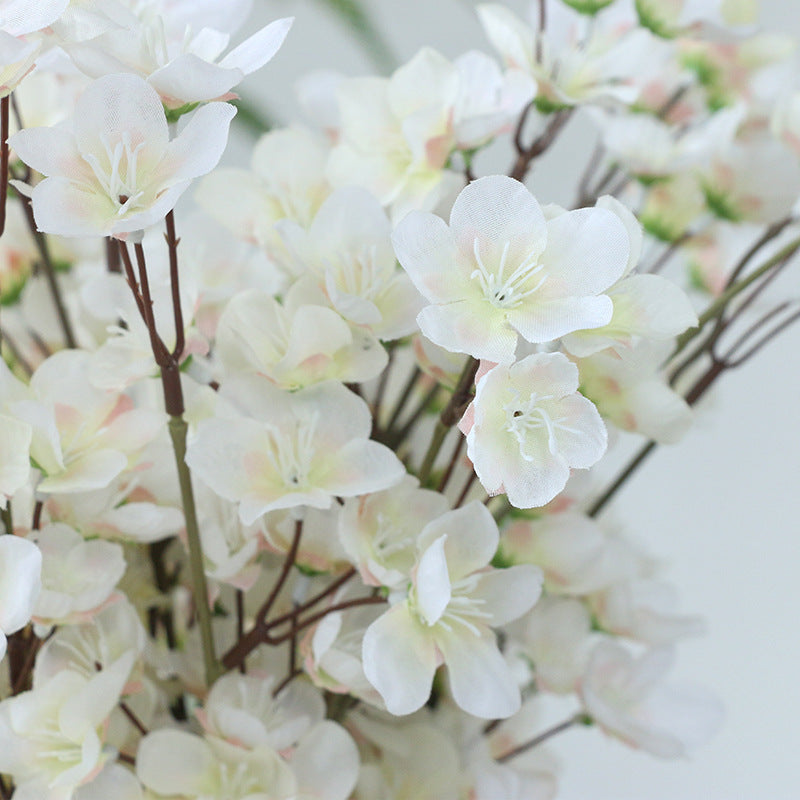 full_bloom_white_plum_branch_setup