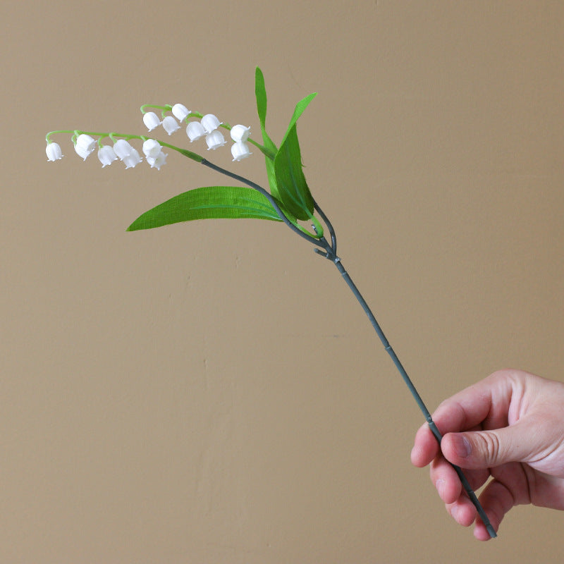 lily_of_valley_leaf_and_blossom_detail