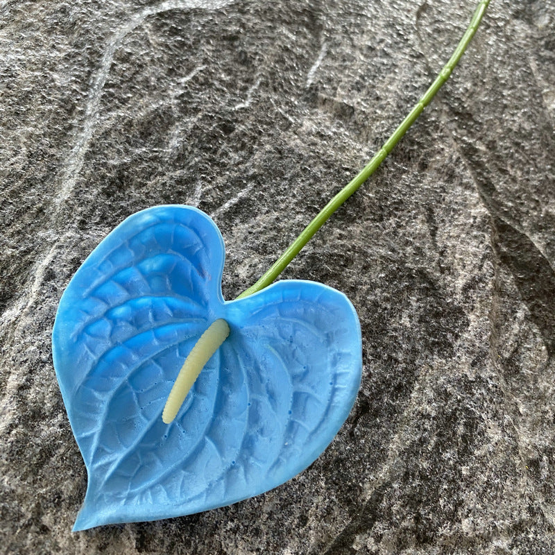 multi_anthurium_vase_styling