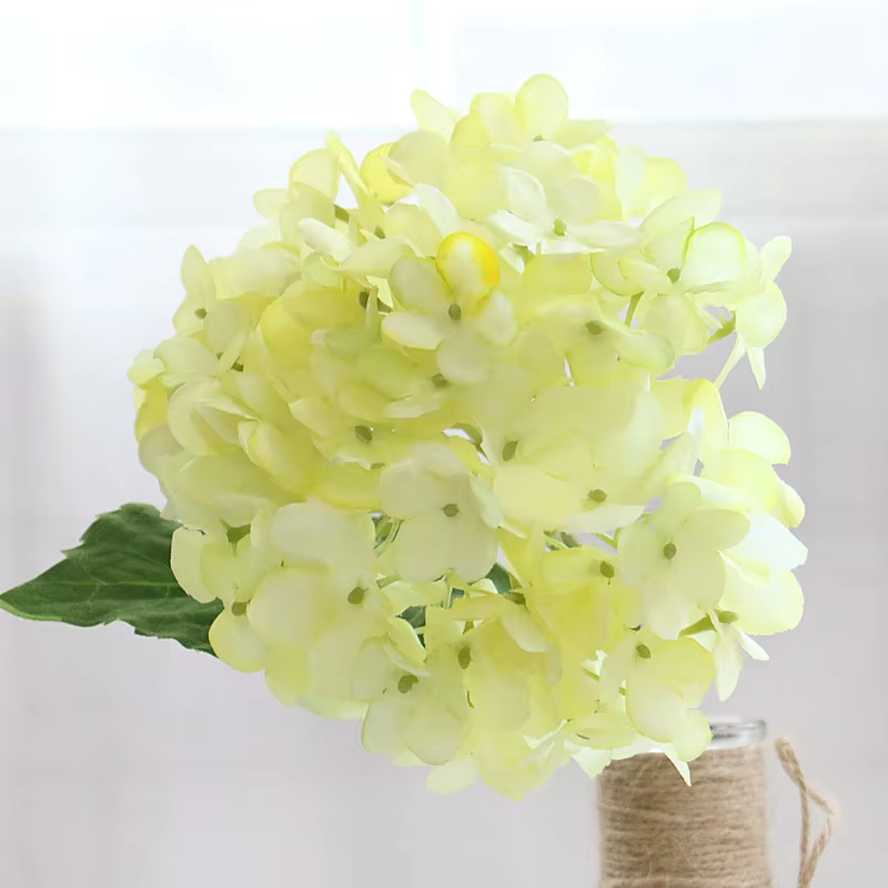 lemon_yellow_hydrangea