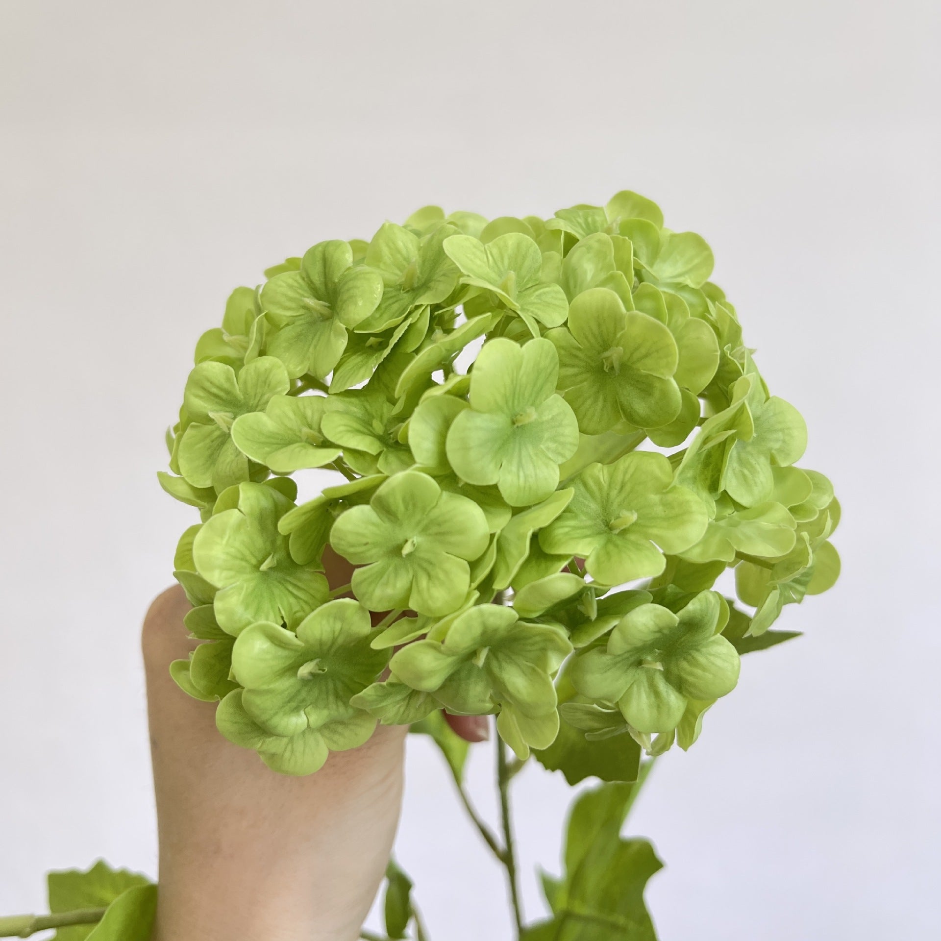 yellow_artificial_hydrangea_stem_shot