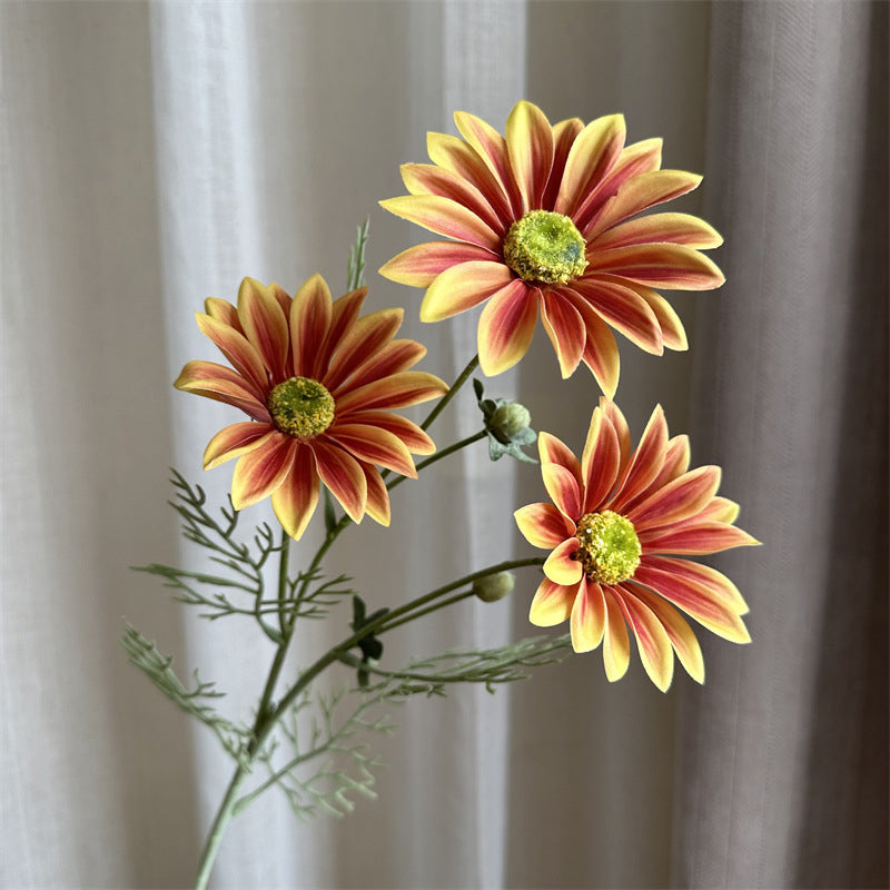 single_white_daisy_stem