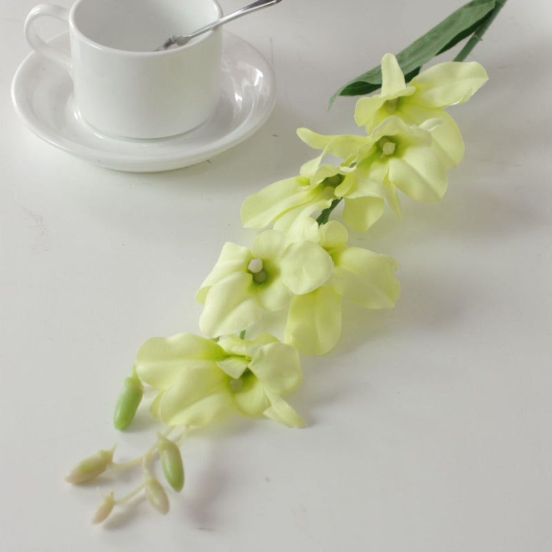 ivory_dendrobium_bloom_bunch_for_vases