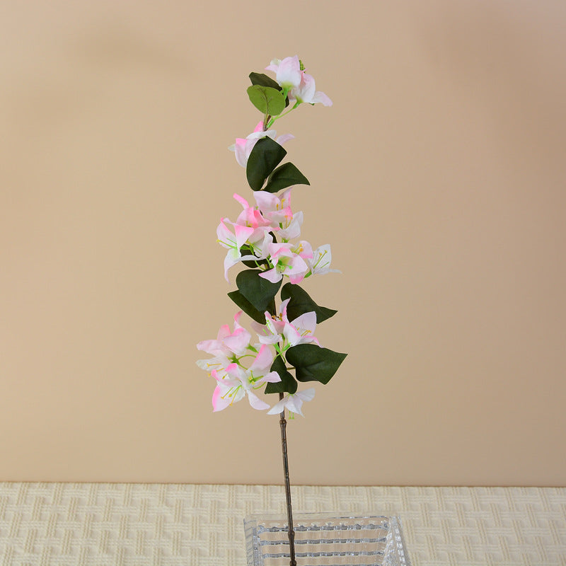 vase_display_bougainvillea