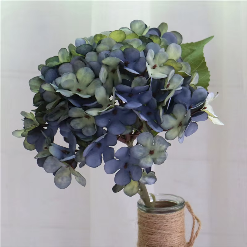 hydrangea_closeup_texture