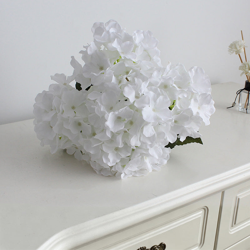 cream_hydrangea_on_cabinet