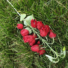 Artificial Foliage