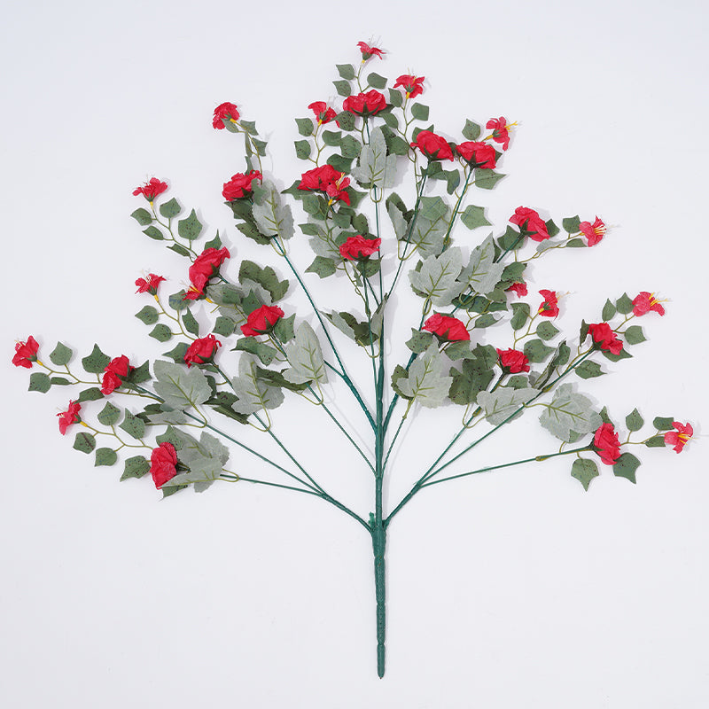 sy19751220✾ Pleased As Punch | Blooms Today