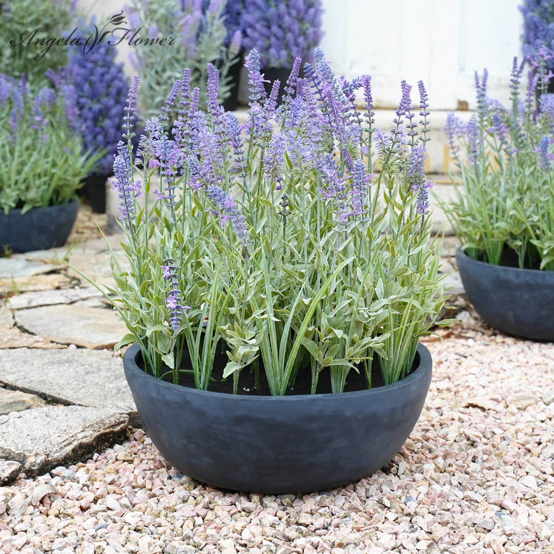 Lavenderさん 7_f0b2cbde-17ab-4fa9-a153-