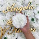 Soft Petal Flower Heads