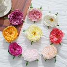 Peony Head for Floral Design