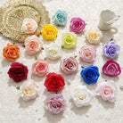 Colorful Silk Rose Flower Collection