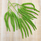 Long Stem Green Amaranthus Artificial Foliage