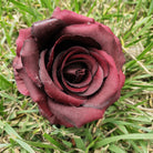 1. Hot pink faux rose bloom