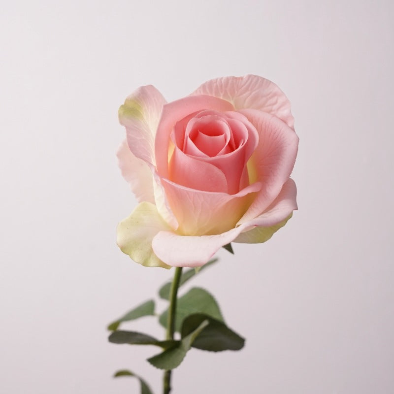 DIY arrangement rose stem