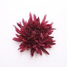 Bright orange artificial spider mum head