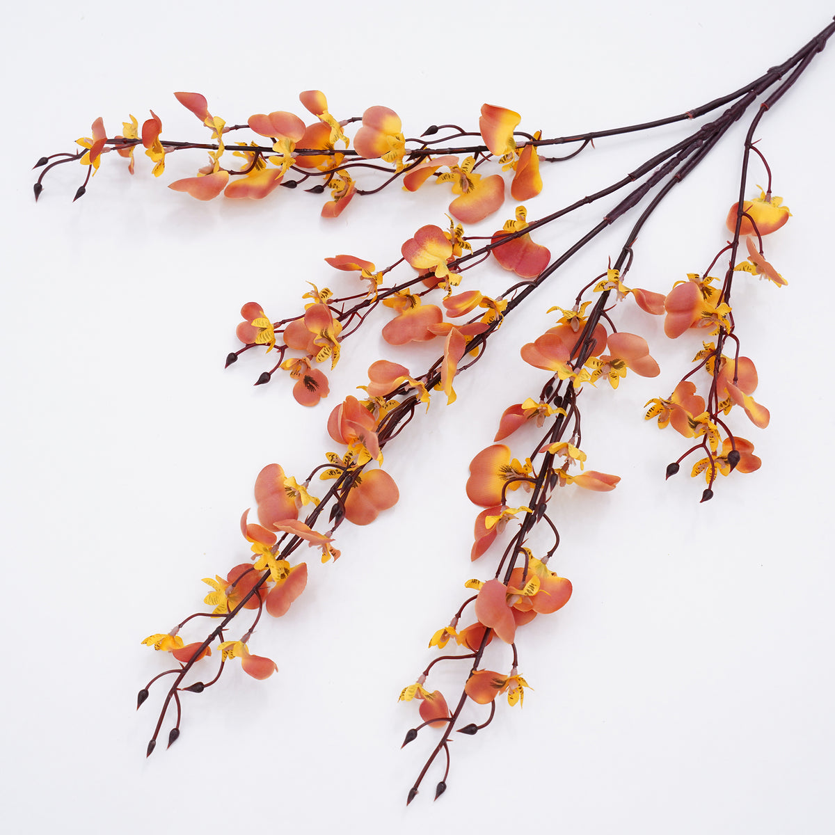 bright_yellow_branching_orchid_sprig