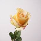 Fake rose wedding arch flower
