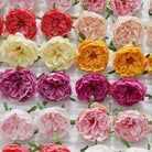 Colorful Artificial Peony Bloom