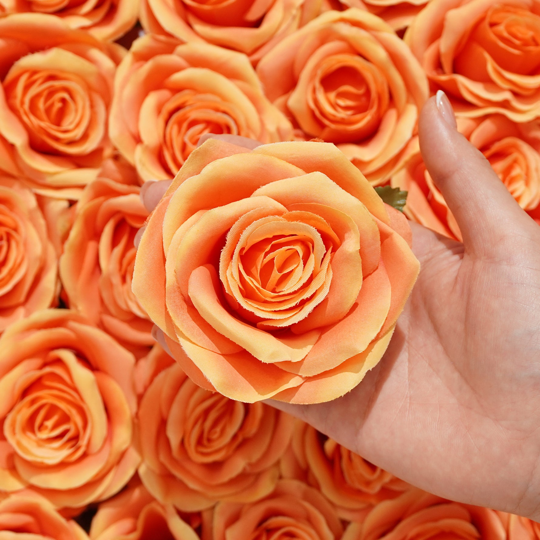 Silk Rose
